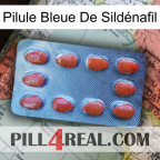 Pilule Bleue De Sildénafil 06